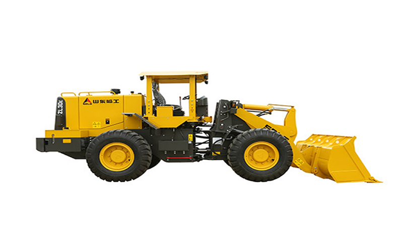 ZL30E(C)