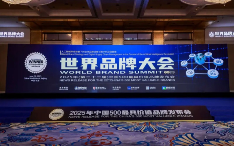تبلغ القيمة العلامة التجارية لـ Lingong Group ‏¥80.26 مليار، وقد تم تصنيفها ضمن أقوى 500 علامة تجاري