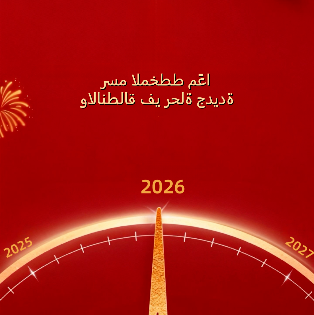 رسالة رئيس مجلس إدارة شركة LGMG بمناسبة العام الجديد 2026